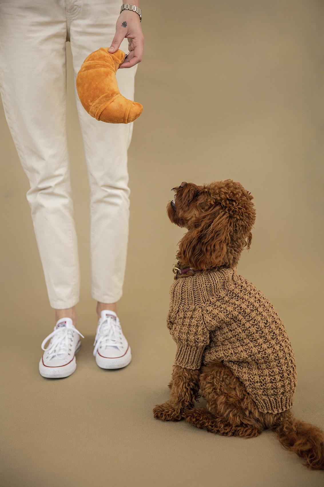 Cozy Dog Sweater - Doodle Pals
