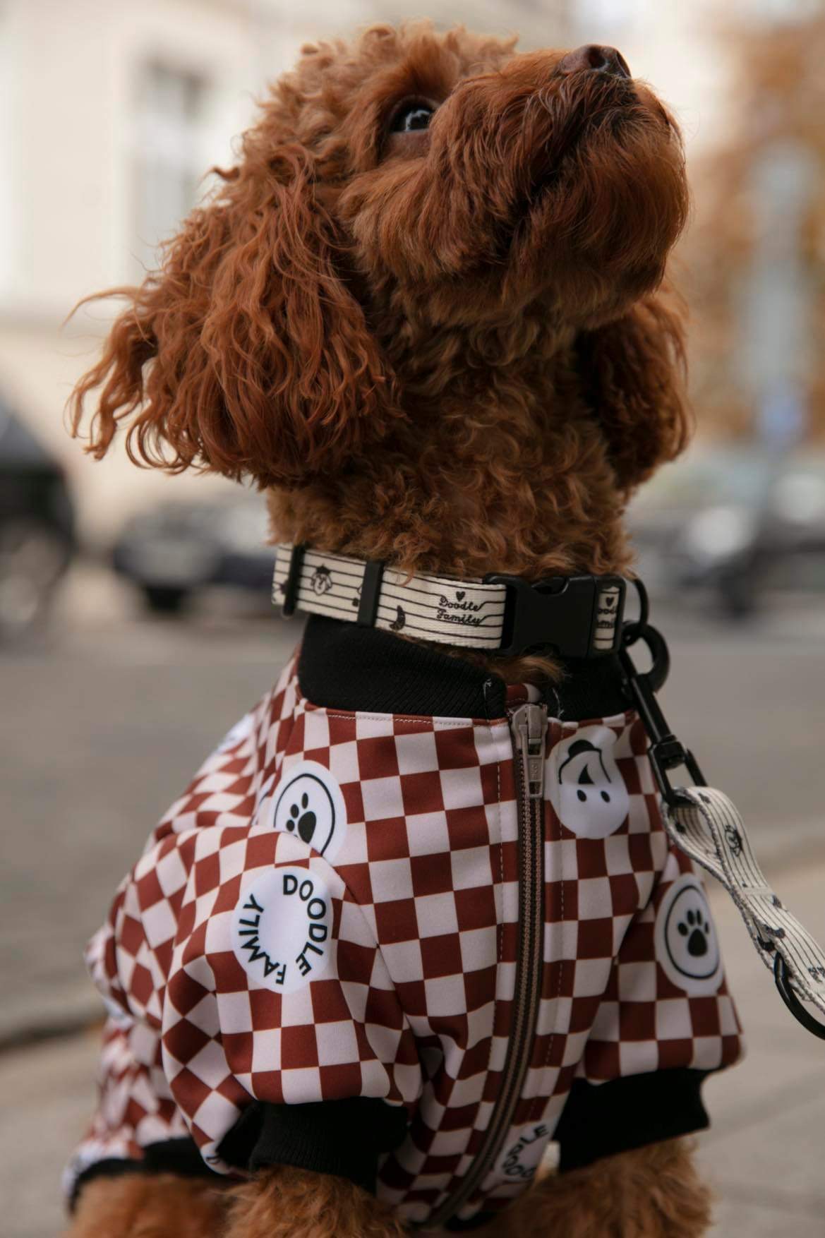 OBROŻA LITTLE PARIS - DOODLE PALS zdjęcie 1