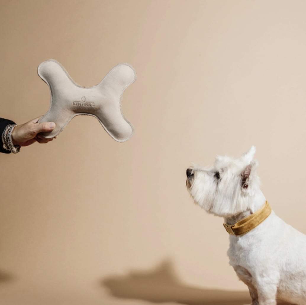 TOY PASTEL BONE - KENTUCKY DOGWEAR zdjęcie 3