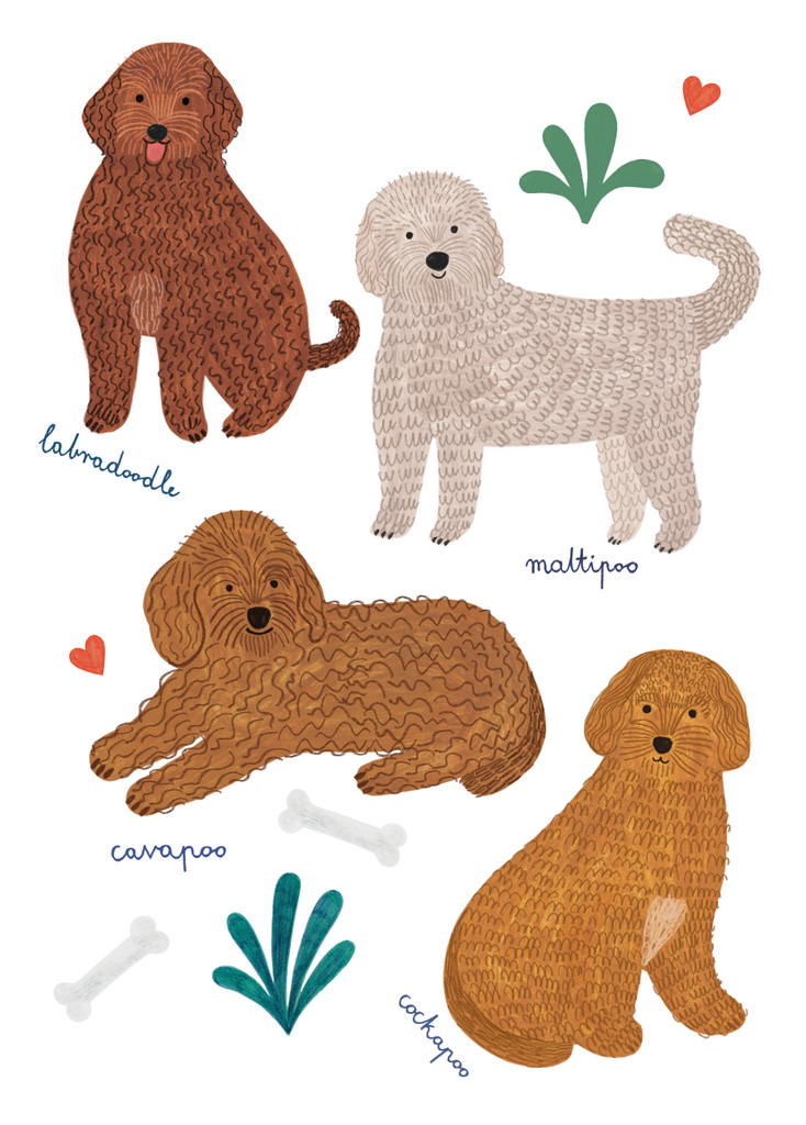 Czapka Maltipoo - Doodle Pals zdjęcie 4