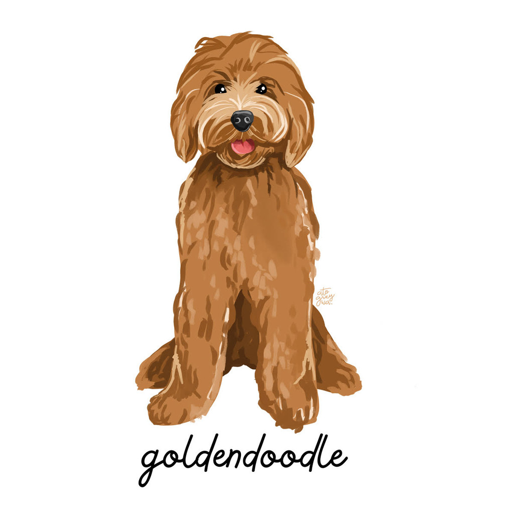 Grafika Goldendoodle - Doodle Pals