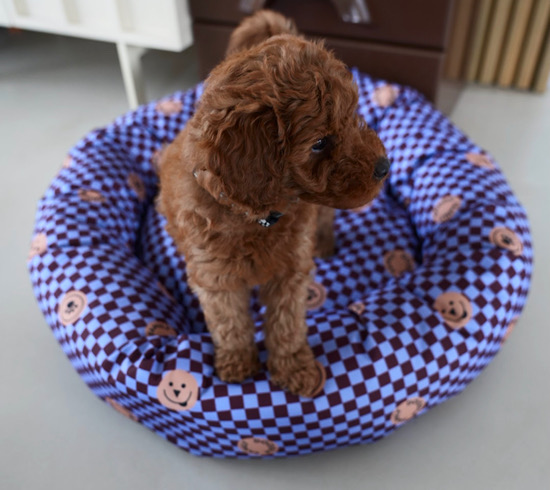 HAPPYPUP BED BERRY BISCUIT BLISS - Doodle Pals zdjęcie 1