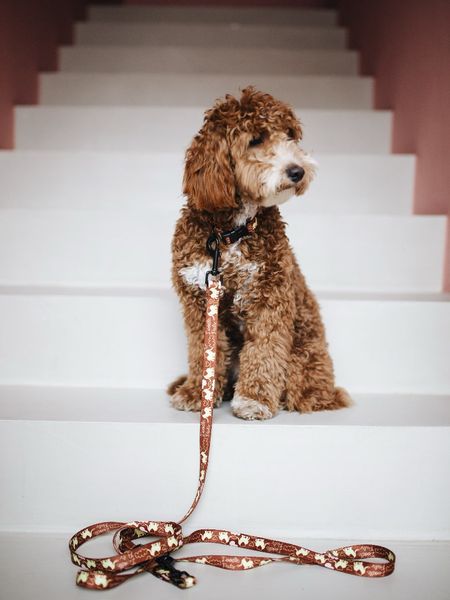 SMYCZ MIEJSKA Hi ELEPHANT!