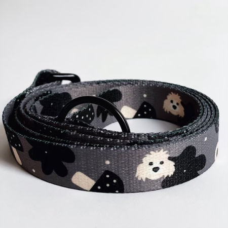 Smycz miejska PIESKI REGIEL