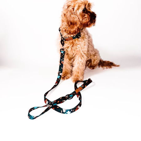 Smycz przepinana „Leśna przygoda” GRANAT