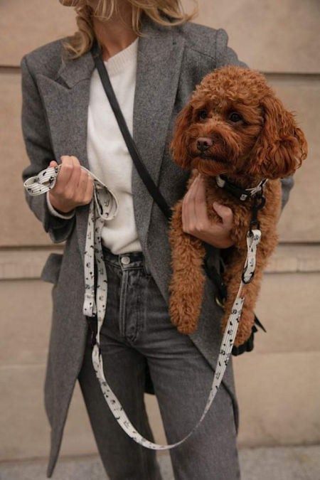 SMYCZ PRZEPINANA LITTLE PARIS