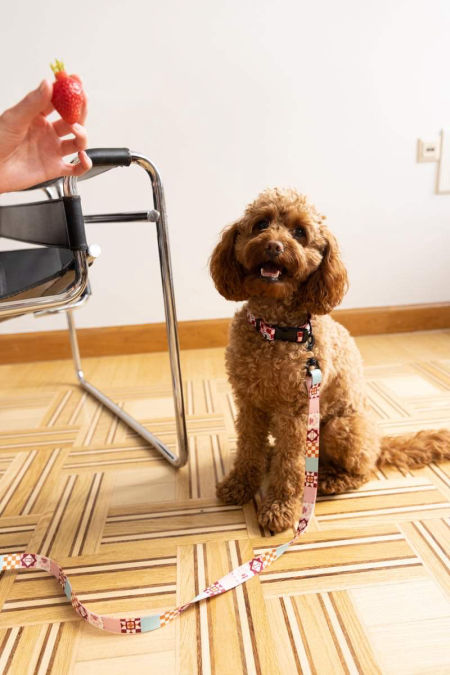 SMYCZ MIEJSKA FANTASTIC PATCHWORK