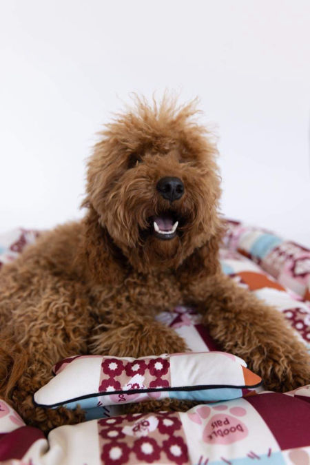 FANTASTIC PATCHWORK BONE