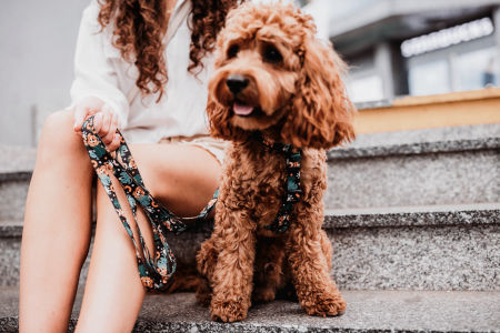 Szelki Karmelowe Pyszczki