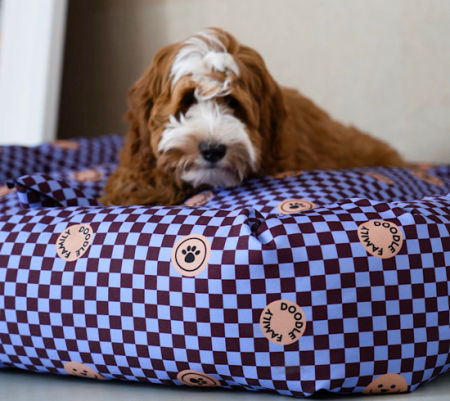 Doodle Family Bed BERRY BISCUIT BILLS 