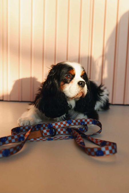 SMYCZ MIEJSKA BLUE CITY DOODLE